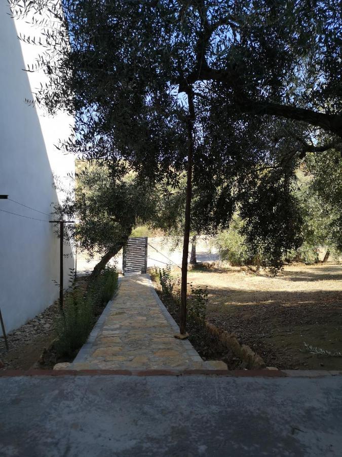 Apartamento El Carmen Setenil de las Bodegas Kültér fotó